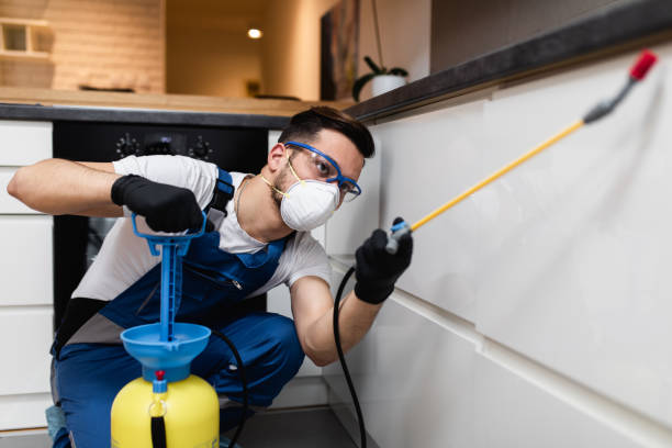 Best Ant Control Services  in Mclean, VA