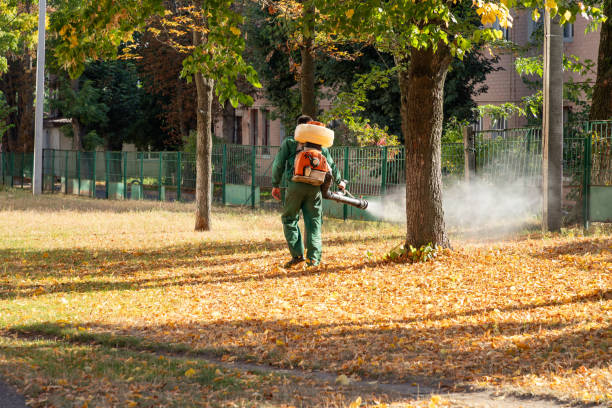 Best Mosquito Control Services  in Mclean, VA