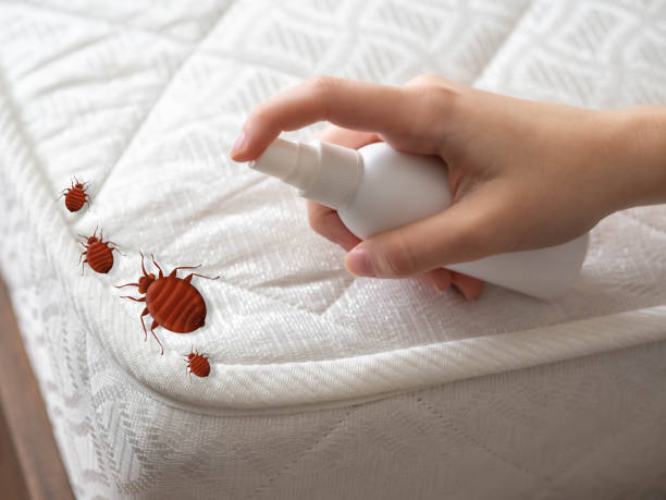 Pest Control Cost in Mclean, VA