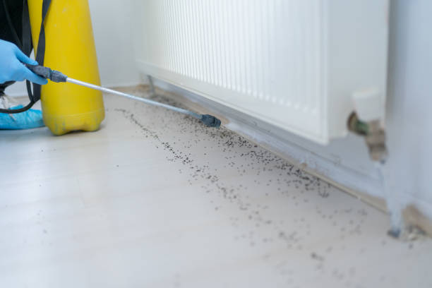 Best Best Pest Control Companies  in Mclean, VA