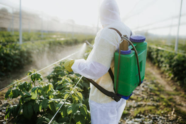 Best Residential Pest Control  in Mclean, VA